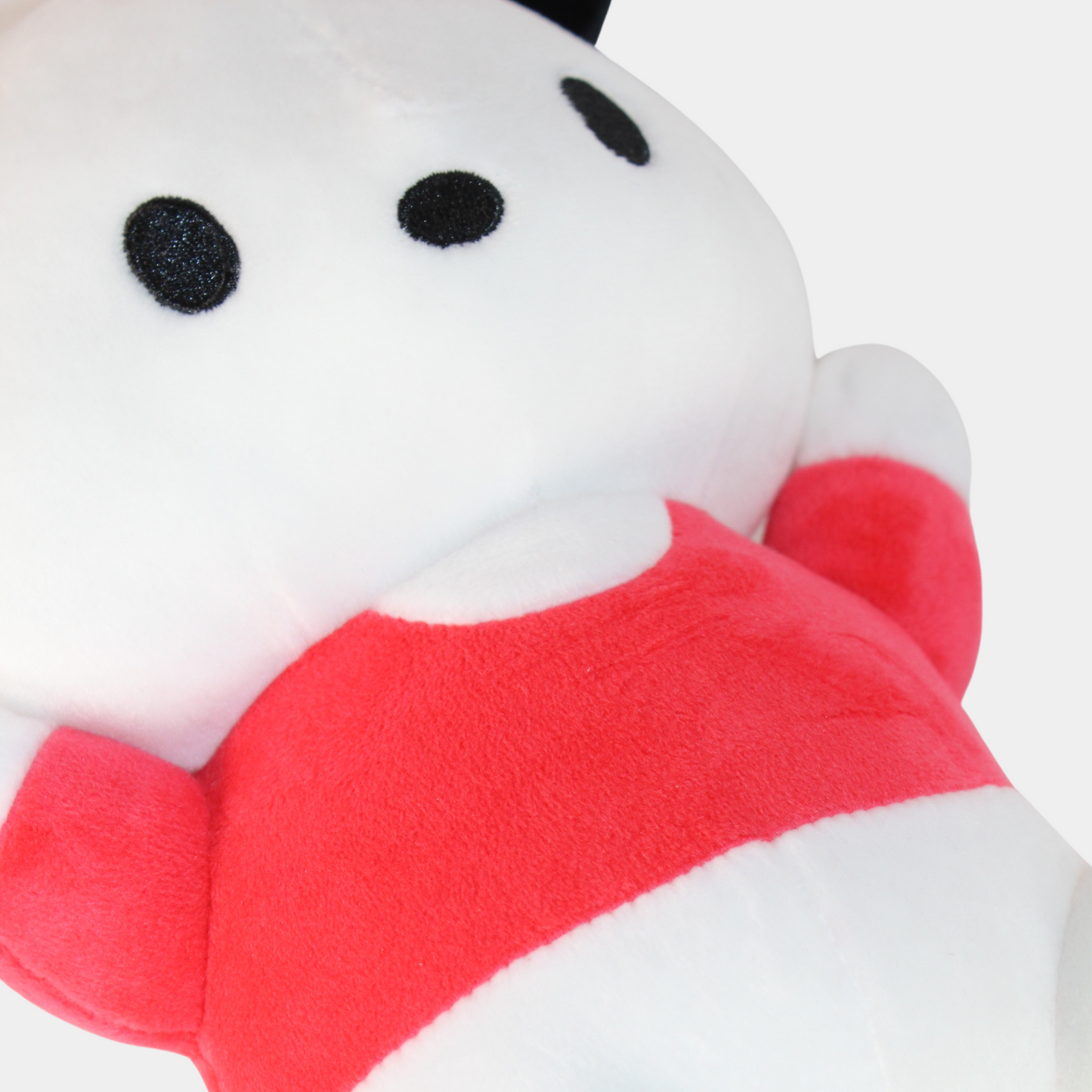 Pochacco Mofumofu Pillow
