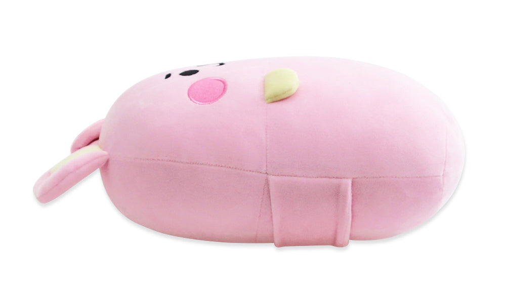 BT21 Nap Cushion COOKY