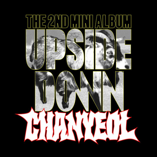[PRE-ORDER] CHANYEOL 2ND MINI ALBUM [UPSIDE DOWN/PHOTO BOOK VER.]