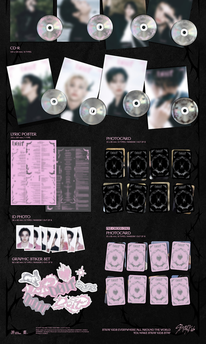 [PRE-ORDER] STRAY KIDS ALBUM [DO IT/ACCORDION VER.]