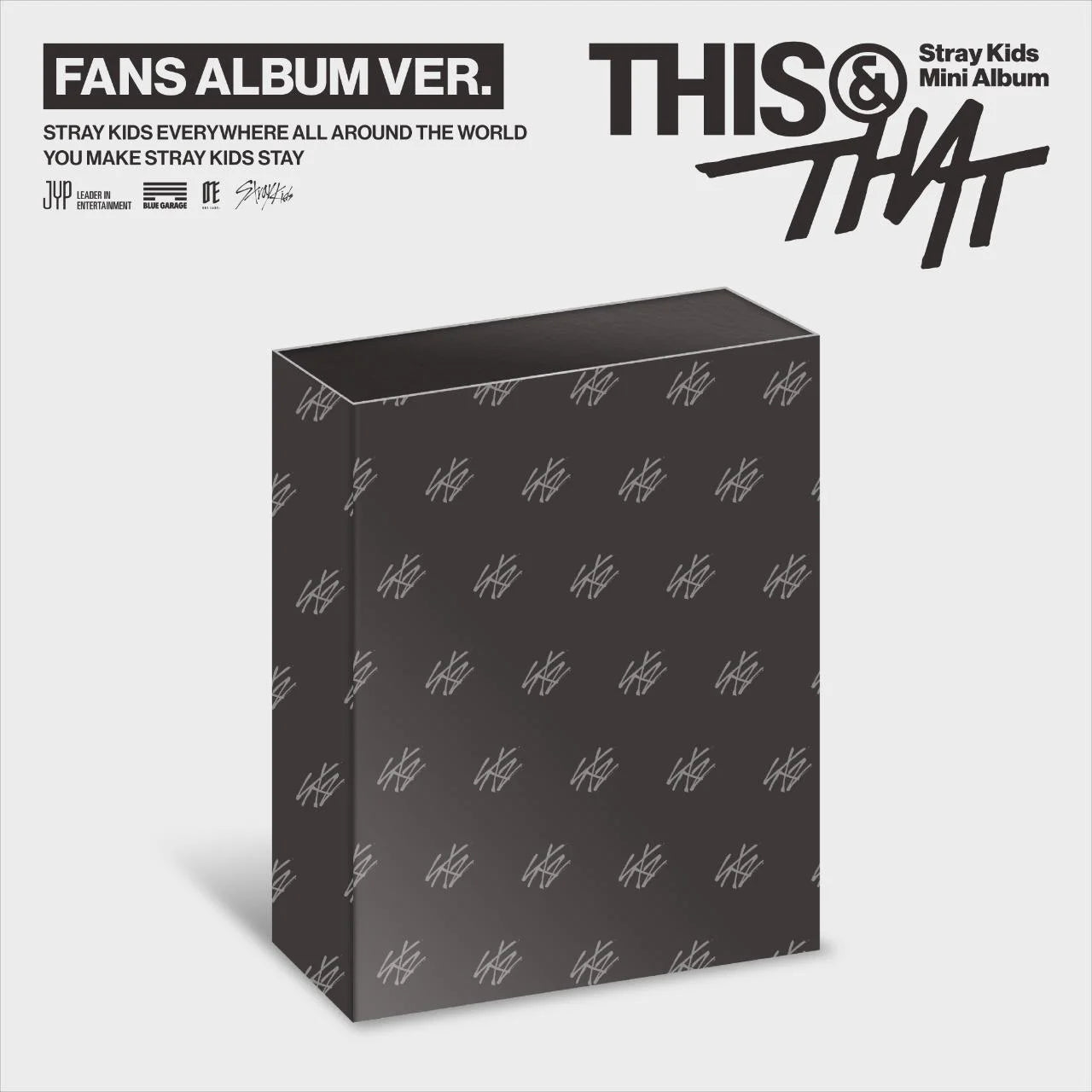 Stray Kids THIS & THAT Fans Album Ver cover image