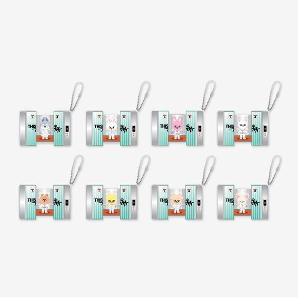 Stray Kids THIS & THAT SKZOO Capsule Acrylic Keyring – all 8 types