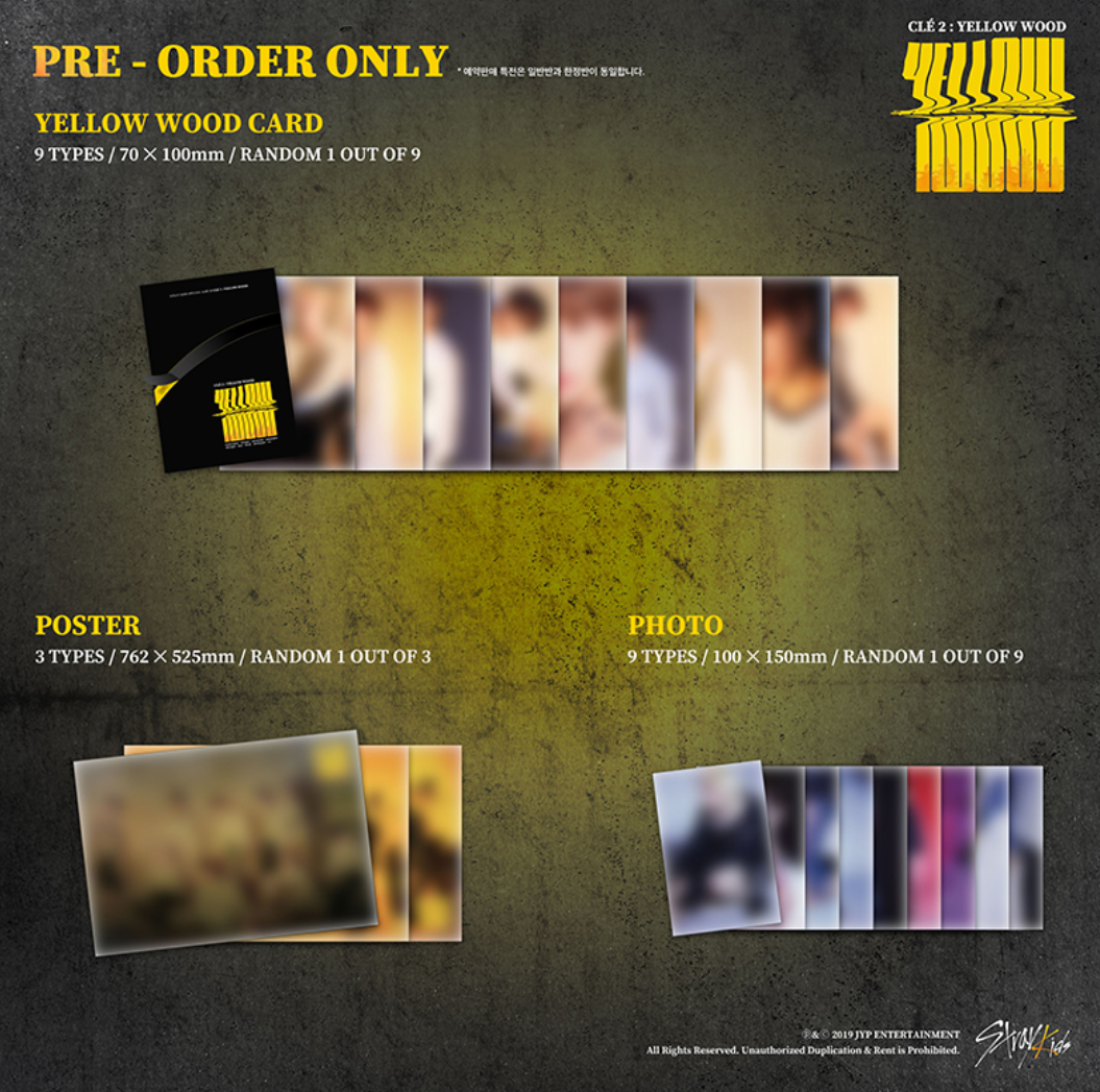 STRAY KIDS SPECIAL ALBUM [CLE 2 : YELLOW WOOD NORMAL VER STRAY KIDS SPECIAL ALBUM [CLE 2 : YELLOW WOOD NORMAL VER